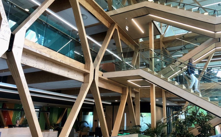 SCION building engineered timber Nick Cottrell2