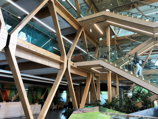 Te Whare Nui o Tuteata, SCION's new HQ in Rotorua. Image by N. Cottrell