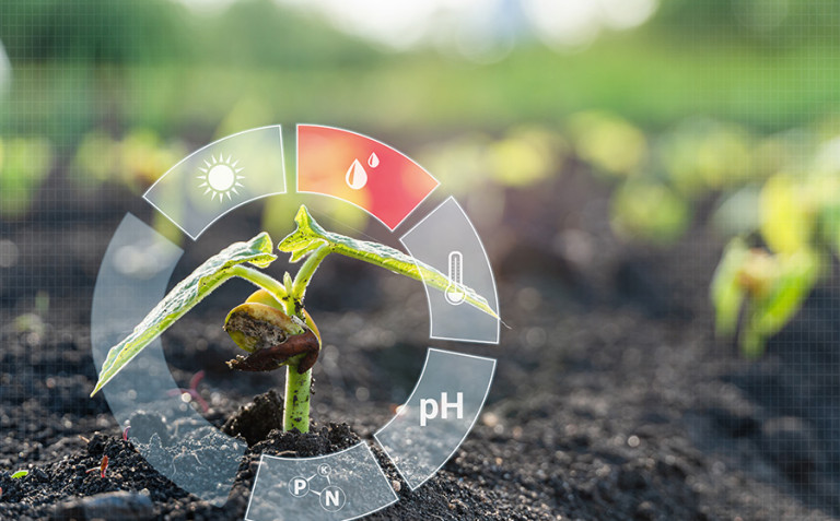 SMart farming shutterstock 1919797991