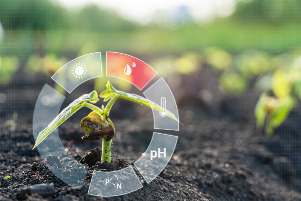 A seedling and graphic showing factors related to smart farming