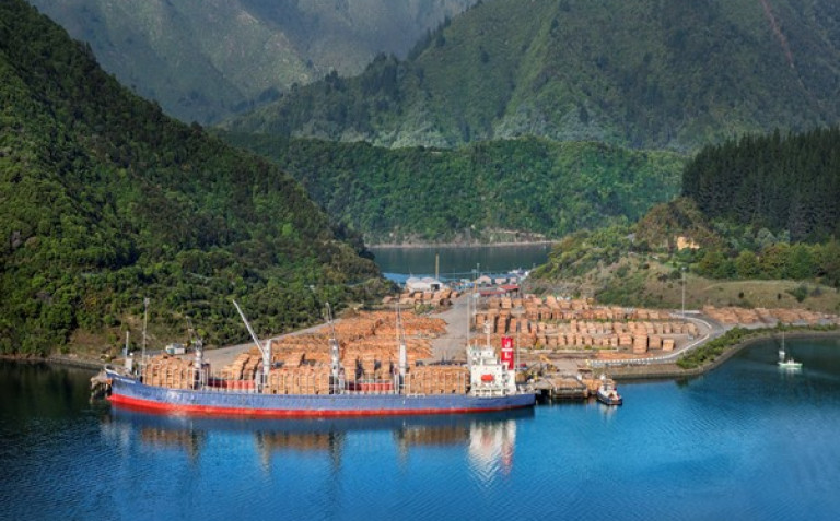 harbour loading timber to transport by boat