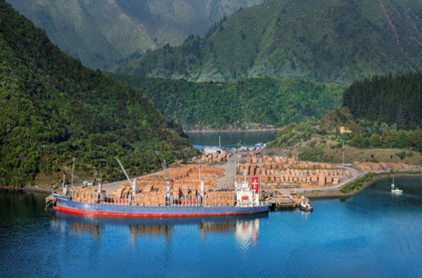 Harbour where timber is being loaded onto a boat