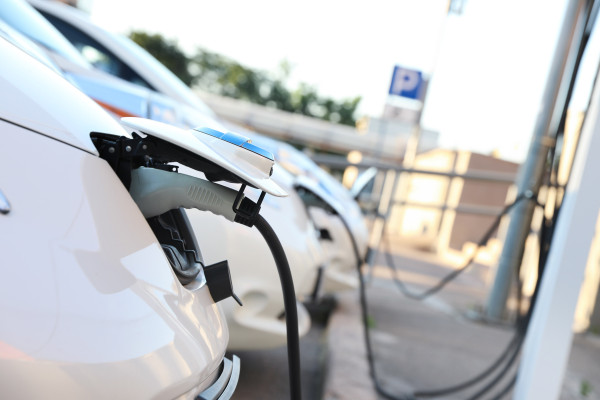 A row of charging EVs