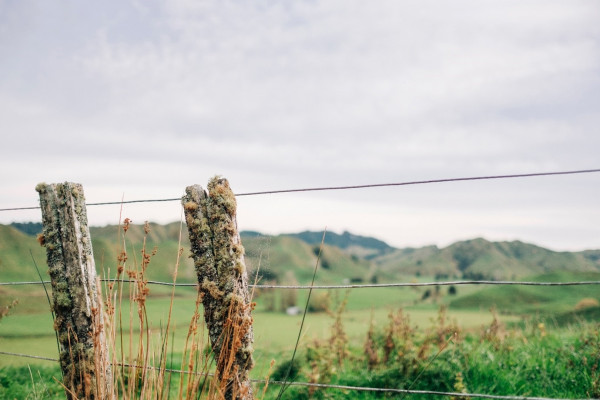 Number 8 wire fence on a farm