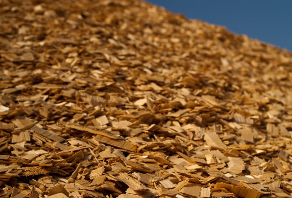 Wood chips